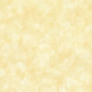 60x60 Prime 03.600600.09028