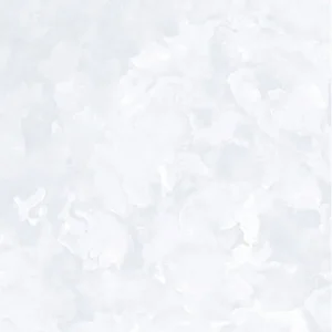60x60 Prime 03.600600.09154