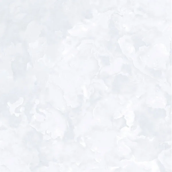 60x60 Prime 03.600600.09154