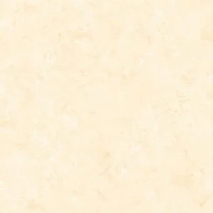 60x60 Prime 03.600600.09669