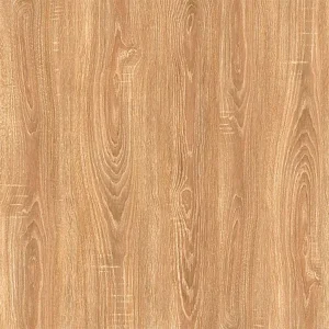 60x60 Prime 03.600600.09877