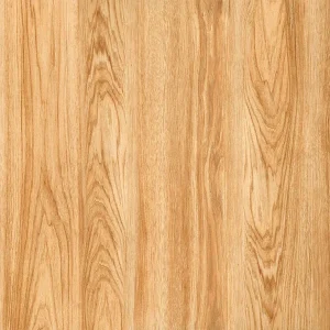 60x60 Prime 03.600600.12003