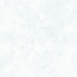 60x60 Prime 03.600600.12024