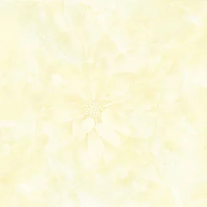 60x60 Prime 03.600600.12025