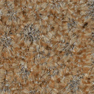 80x80 Prime 03.800800.12878