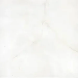 30x30 Đồng Tâm 3030NGOCTRAI002