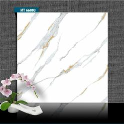Gạch ốp lát 60x60 vân khói khắc vàng MT66003