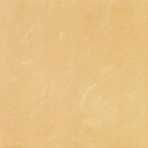 60x60 BV6648
