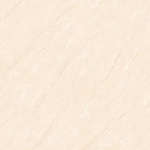 Gạch lát nền 60x60 TTC Ceramic CM66003