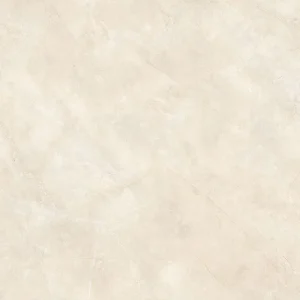 Gạch lát nền 60x60 TTC Ceramic CM66005-B
