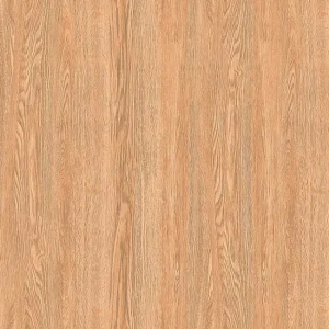 Gạch lát nền 60x60 TTC Ceramic CM66206