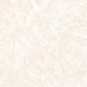 Gạch lát nền 60x60 TTC Ceramic CN66006