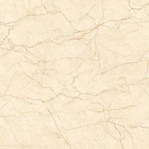Gạch lát nền 60x60 TTC Ceramic CN66009