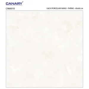 Gạch lát nền 60x60 TTC Ceramic CN66010
