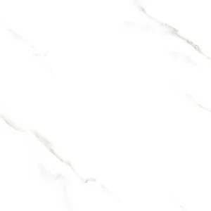 Gạch lát nền 60x60 TTC Ceramic CN66012