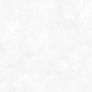 Gạch lát nền 60x60 TTC Ceramic CN66017