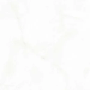 Gạch lát nền 60x60 TTC Ceramic CN66021