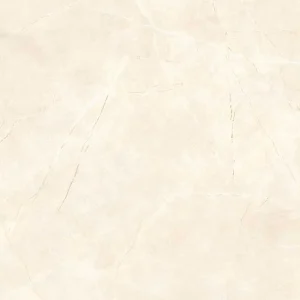 Gạch lát nền 60x60 TTC Ceramic CN66024