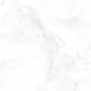 Gạch lát nền 60x60 TTC Ceramic CN66025