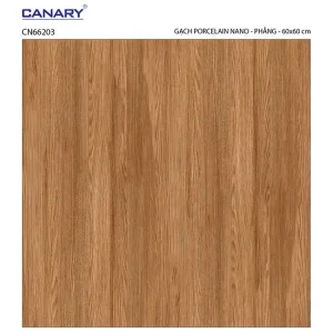 Gạch lát nền 60x60 TTC Ceramic CN66203
