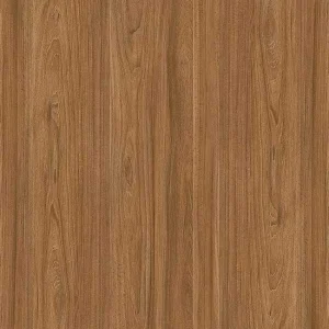 Gạch lát nền 60x60 TTC Ceramic CN66204
