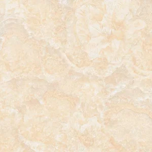 Gạch lát nền 60x60 TTC Ceramic CN66205