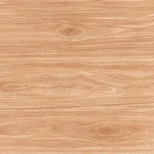 Gạch lát nền 60x60 TTC Ceramic CN66206
