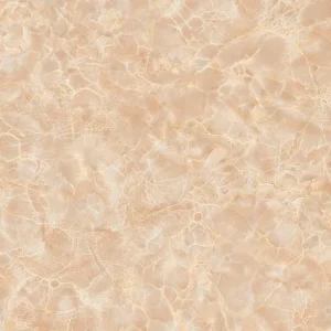 Gạch lát nền 60x60 TTC Ceramic CN66207