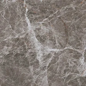 Gạch lát nền 60x60 TTC Ceramic CN66208