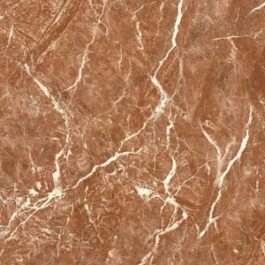 Gạch lát nền 60x60 TTC Ceramic CN66209