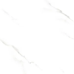 Gạch lát nền 60x60 TTC Ceramic CPM66001