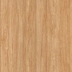 Gạch lát nền 60x60 TTC Ceramic CPM66201