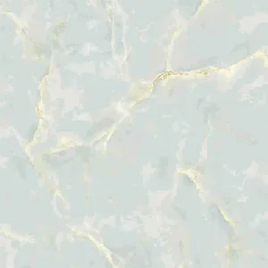 Gạch lát nền Viglacera 50x50 H505