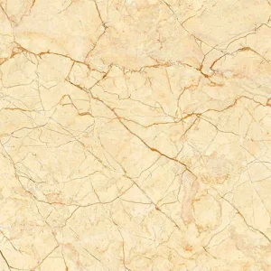 Gạch lát nền Viglacera 50x50 H506