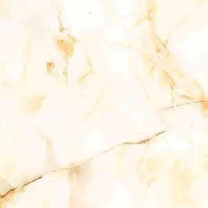 Gạch lát nền Viglacera 50x50 H509