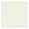 60x60 Bạch Mã HG HMP60910