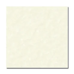 80x80 Bạch Mã HMP80910