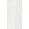 Eurotile 30x60 LTH G02