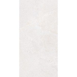 45x90 NGC I01