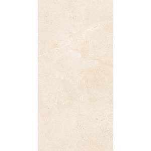 45x90 NGC I04