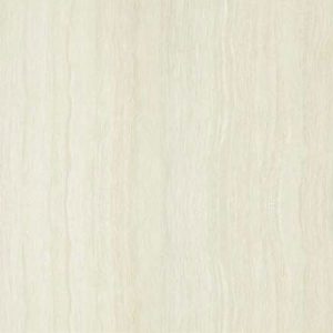 P10202N