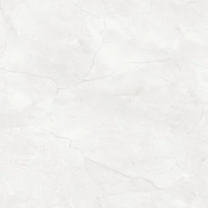 Gạch lát nền Ý Mỹ 600x600 P65012C