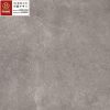 Gạch ốp lát vân xi măng 60×60 Prime 9208