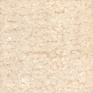 Gạch lát nền Viglacera 60x60 TS2-615