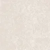 Gạch lát nền Viglacera 60x60 TS2-617