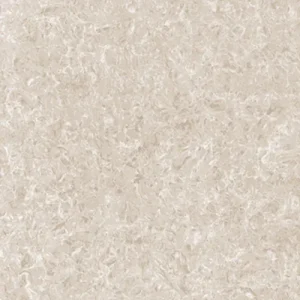 Gạch lát nền Viglacera 60x60 TS2-621