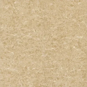 Gạch lát nền Viglacera 60x60 TS2-626