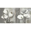 Gạch ốp tường Viglacera 30x60 BS3642A