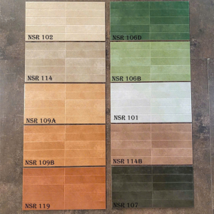 Gạch Trang Trí 30x60cm Trung Quốc NSR102