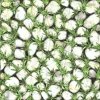 Gạch lát sân vườn 40x40 Đồng Tâm CLG003